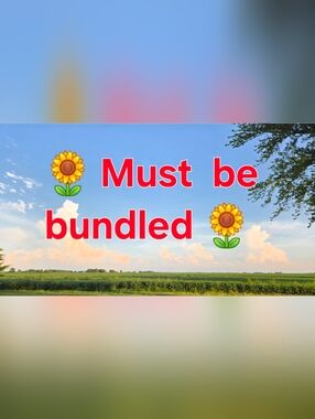 🌻MUST  BE  BUNDLED🌻 10 Sunflower Seeds  USA GROWN 🇺🇸 Variety of Sizes